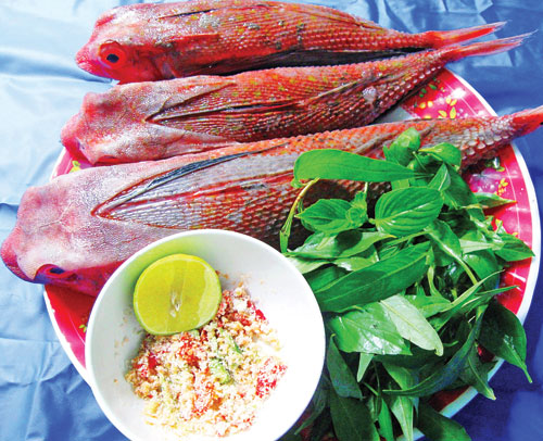 Cá Tắc Kè Ninh Thuận 